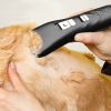 Black Pet Shaver For Dog And Cat; Pet Grooming Supplies