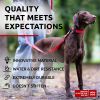 Waterproof Dog Collar 12in - 19in Neck x 1in Wide Metal Buckle Adjustable Dog Collar for Large Dogs Small and Medium Dogs Heavy Duty Dog Collars with