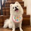 New Happy Birthday Embroidery Dog bib Pet Dog bib Mouth towel