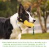 Pet Dog Toy Interactive Rubber Balls for Small Large Dogs Puppy Chewing Toys Pet Tooth Cleaning Indestructible Dog Food Ball